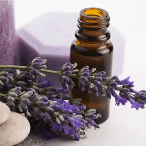 ARNICA & GRAPE SEED MASSAGE OIL